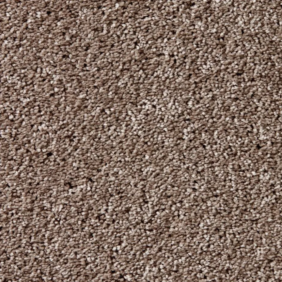 Staal Tapijt Leetsdale Beige