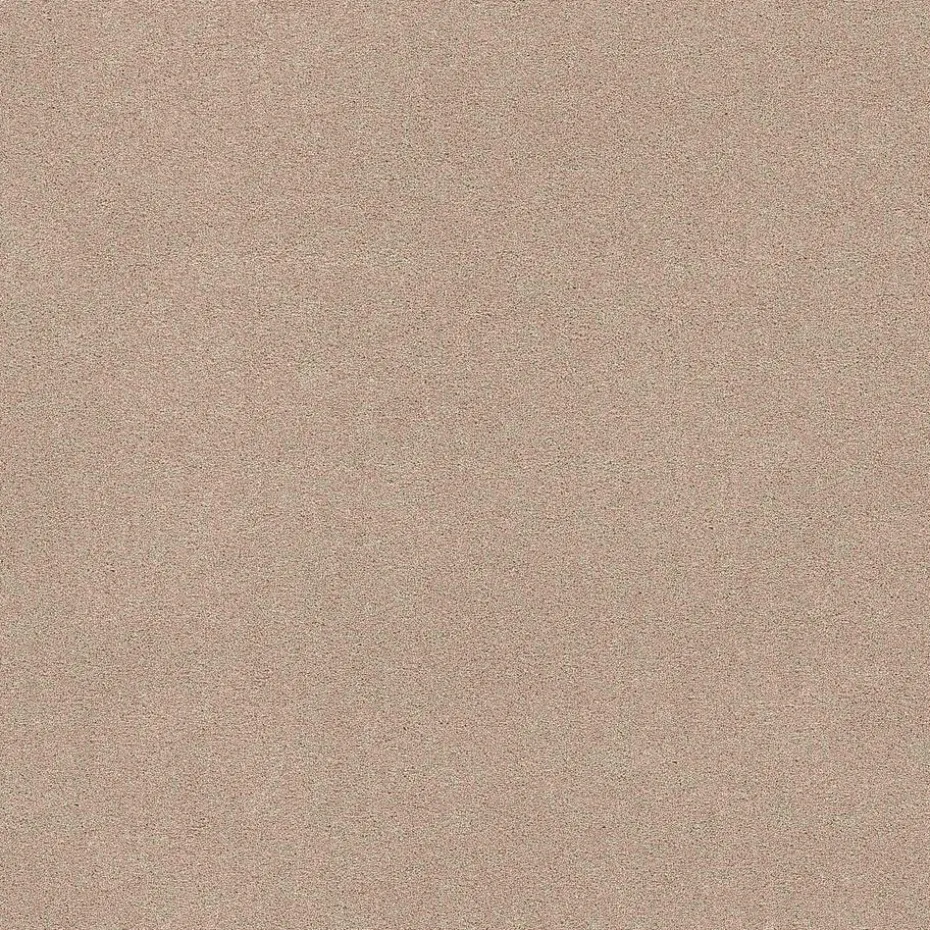 Staal Tapijt Peetz Beige